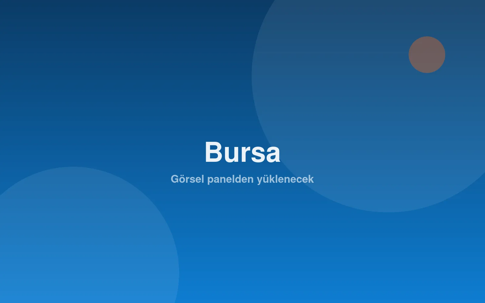 Bursa